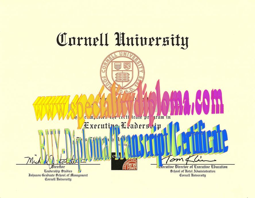 Best Fake Cornell University Diploma