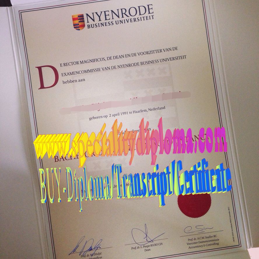 Best Fake Nyenrode Business University Diploma