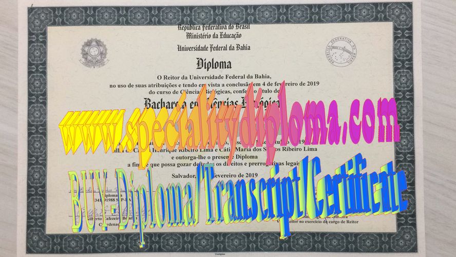 Best Fake Universidade Federal da Bahia Diploma