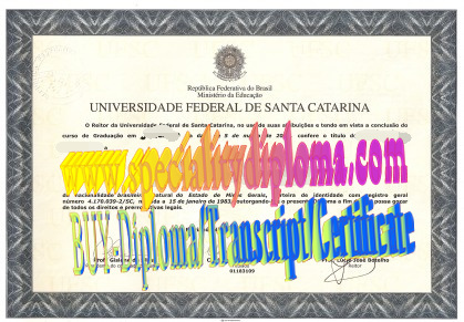 Best Fake Universidade Federal de Santa Catarina Diploma