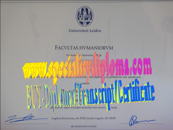 Best Fake Universiteit Leiden Diploma