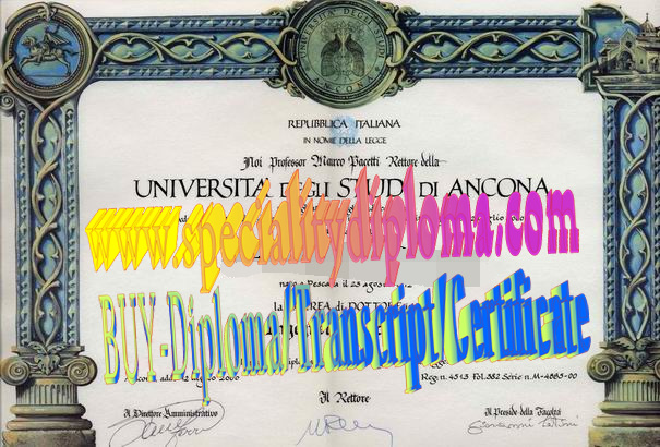 Best Fake Università degli Studi di ANCONA Diploma