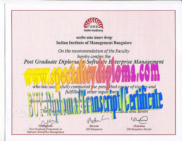 Best Fake indian institute of management bangalore Diploma