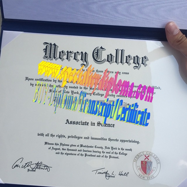 Buy Mercy College Diploma Online