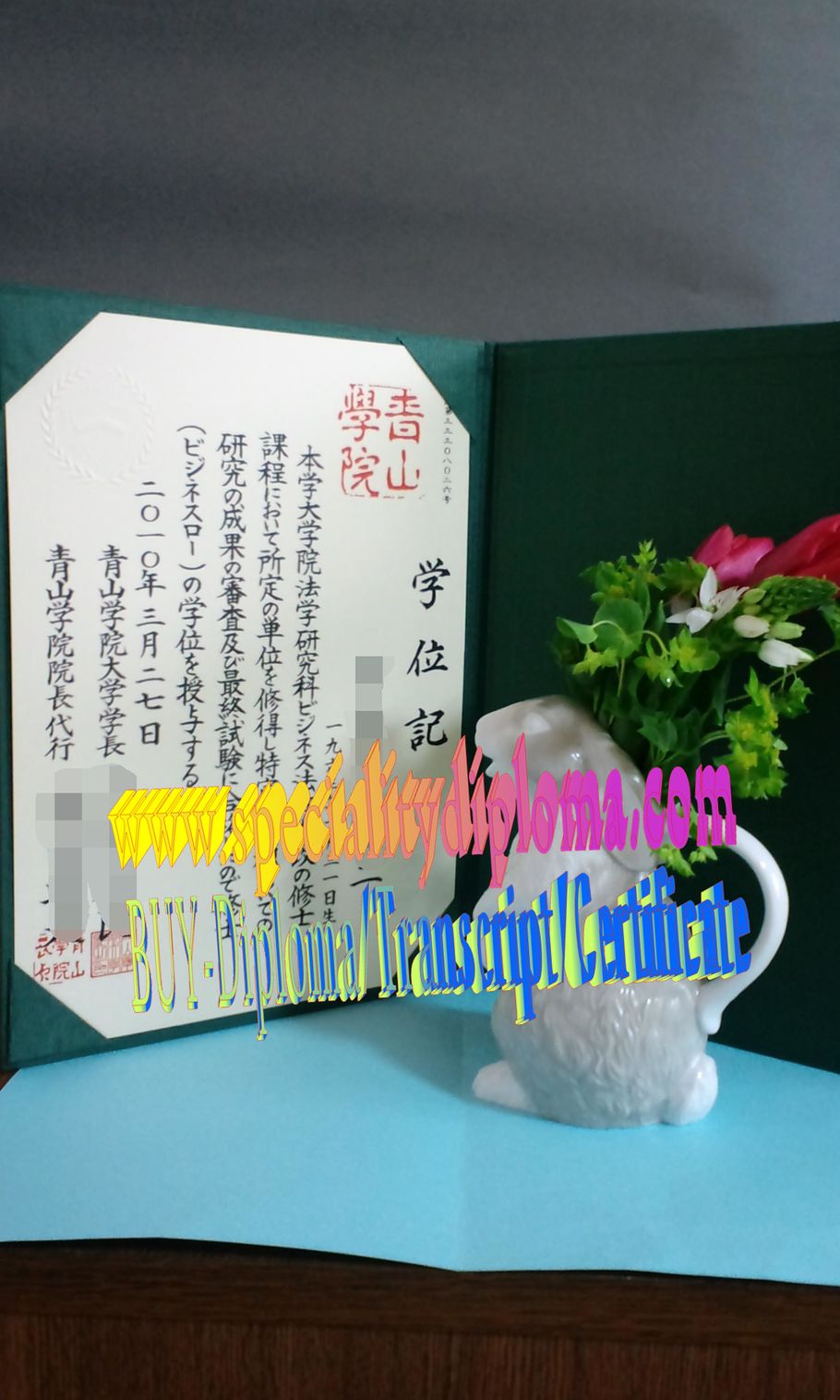 Buy fake Aoyama Gakuin University Diploma