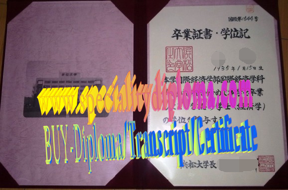 Buy fake HAMAMATSU University Diploma