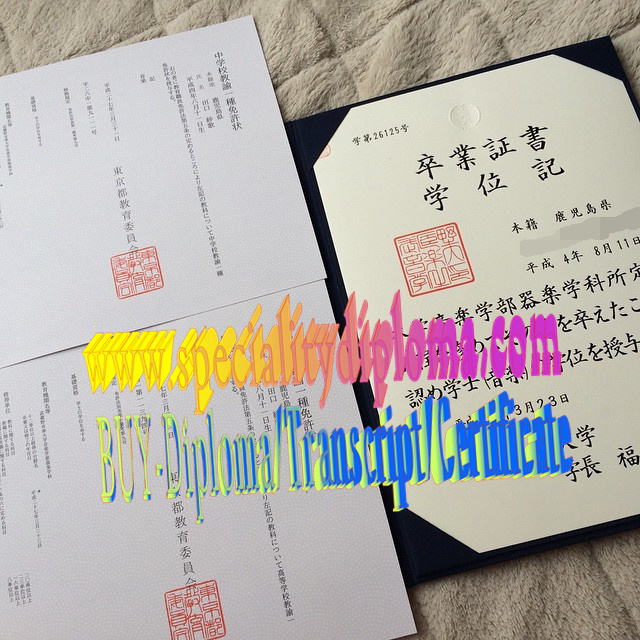 Buy fake Musashino Academia Musicae Diploma