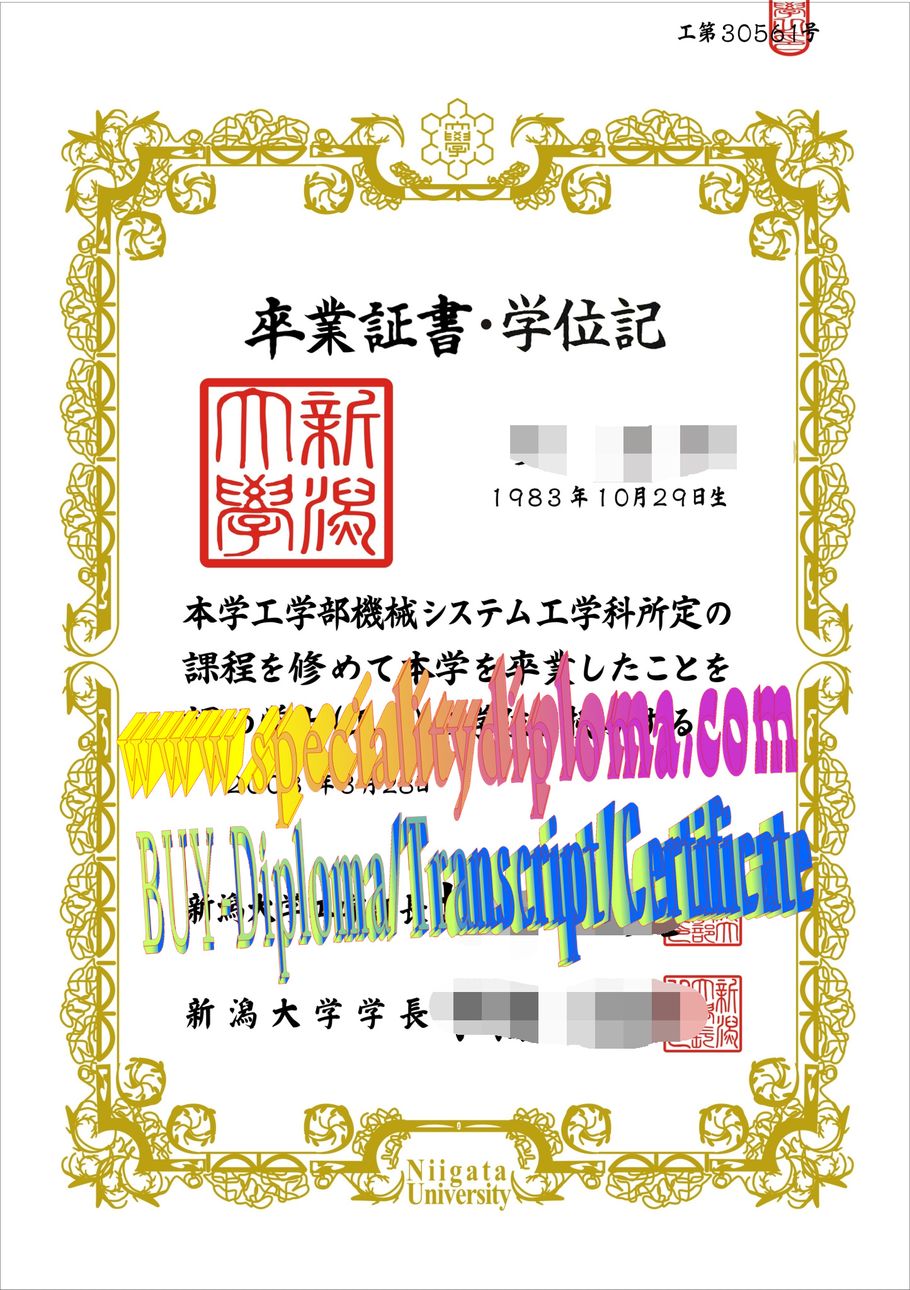 Buy fake Niigata University Diploma