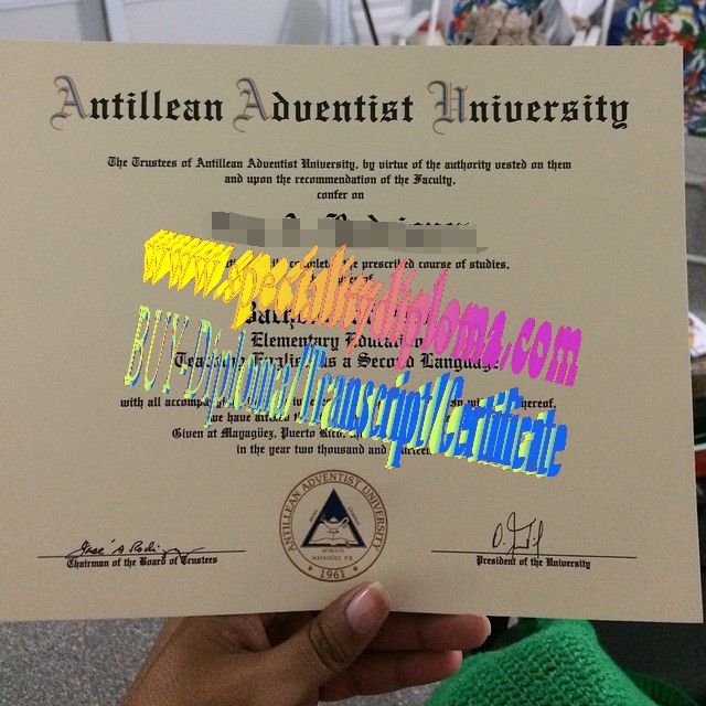 Fake Antillean Adventist University Diploma Certificate