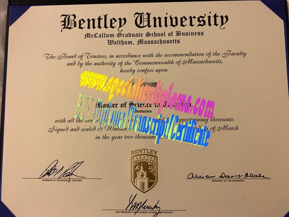 Fake Bentley University Diploma Certificate