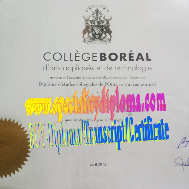 Fake Boreal College Diploma Makers