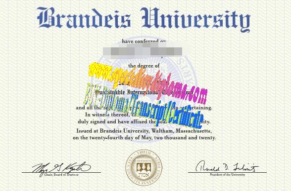 Fake Brandeis University Diploma Certificate