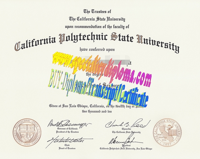 Fake California Polytechnic State University Diploma Certificate