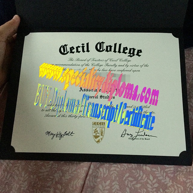 Fake Cecil College Diploma Certificate