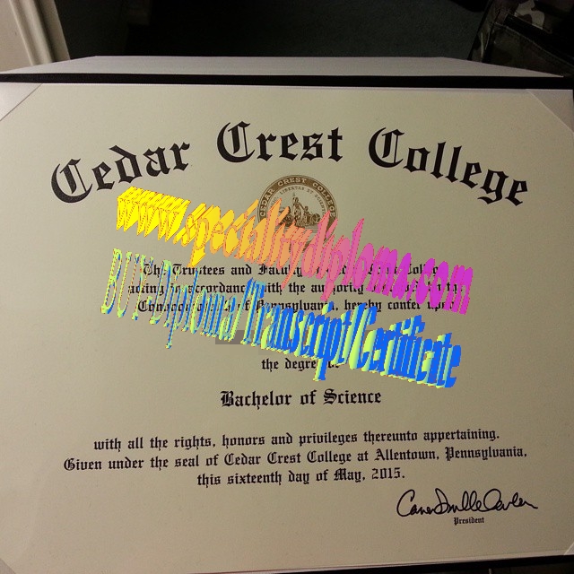 Fake Cedar Crest College Diploma Certificate