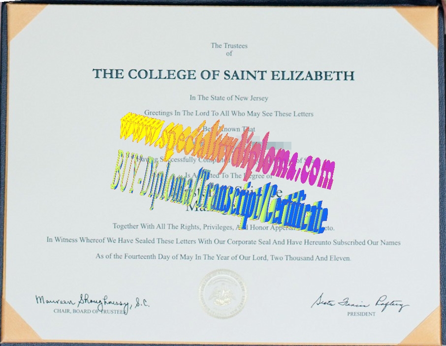 Fake College of Saint Elizabeth Diploma Certificate