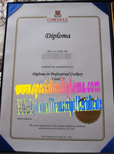 Fake CornellInstitute of Business and Technology Diploma Degree