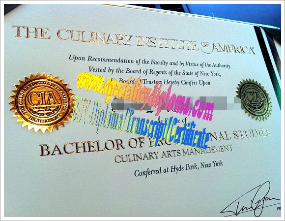 Fake Culinary Institute of America Diploma Certificate