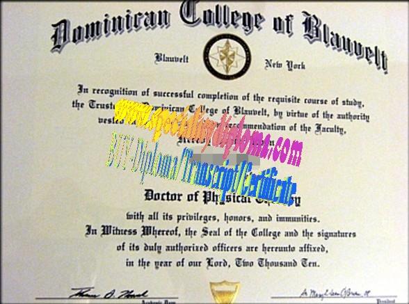 Fake Dominican College of Blauvelt Diploma Certificate