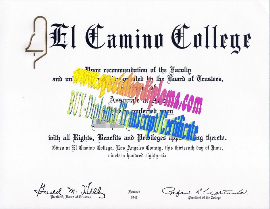 Fake EL Camino College Diploma Certificate