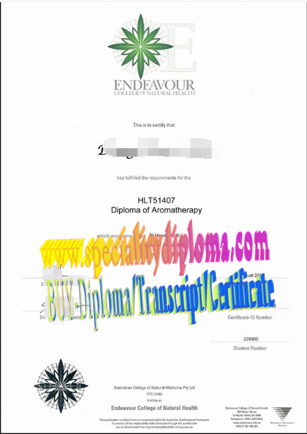 Fake Endeavour College of Natural Health Diploma Degree