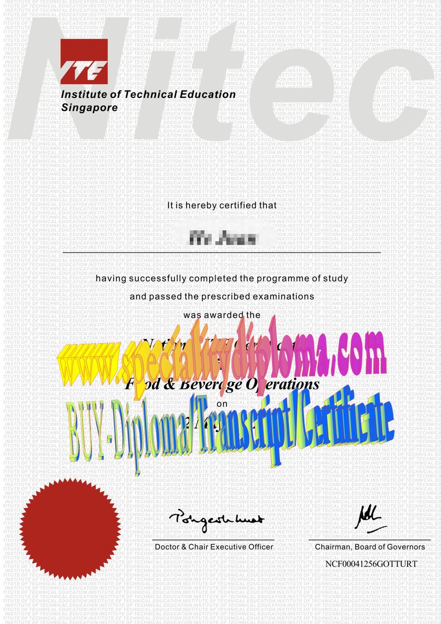 Fake Institute of Technical Education Singapore Diploma