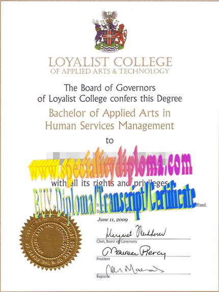 Fake Loyalist College Diploma Makers