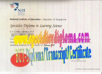 Fake National Institute of Education, Nanyang Technological University Diploma