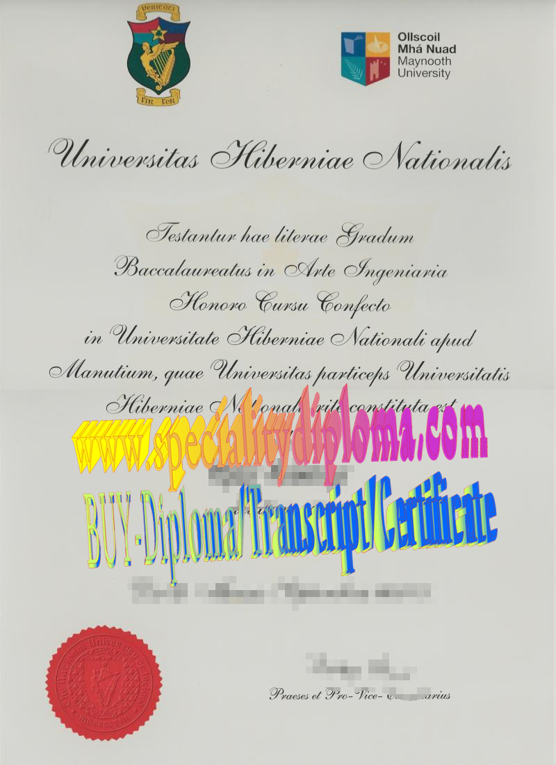 Fake National University of Ireland Maynooth Diploma Certificate