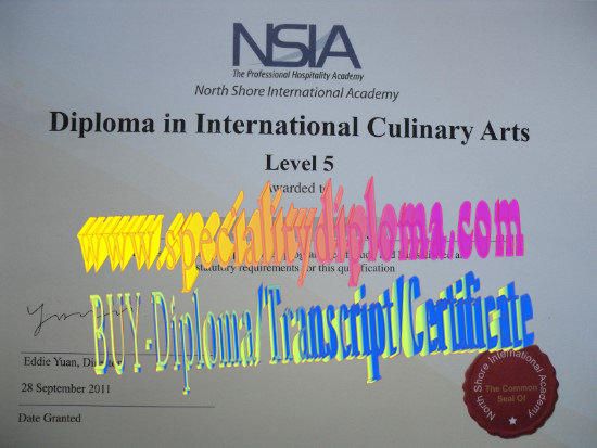 Fake North Shore International Academy Diploma Degree