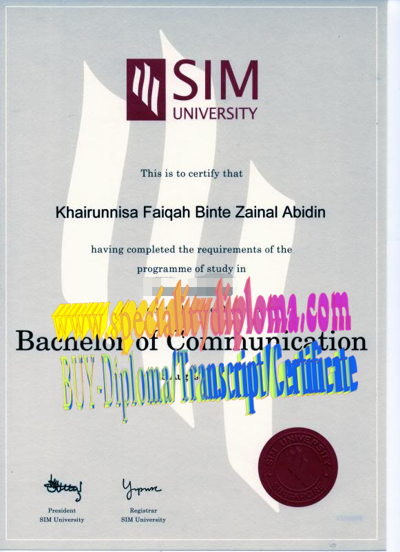 Fake SIM University Diploma