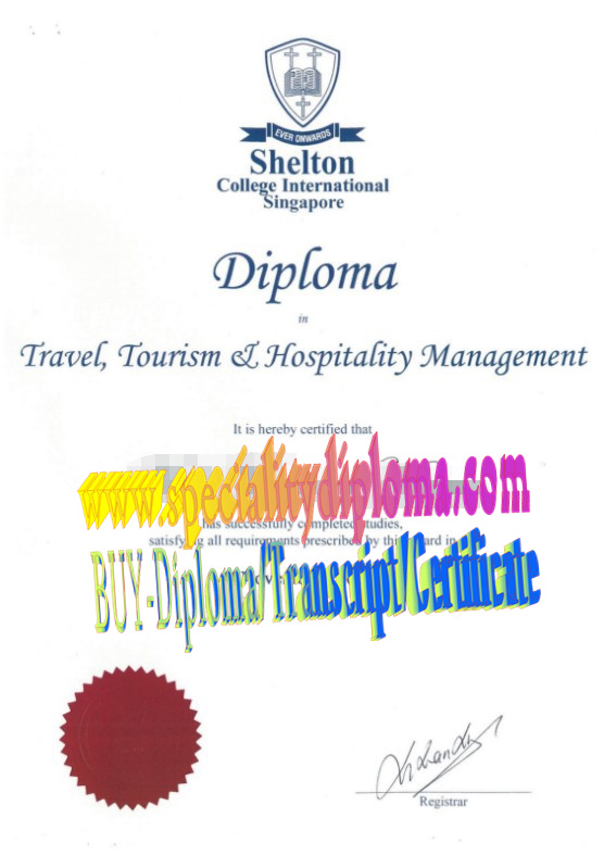 Fake Shelton College International Diploma