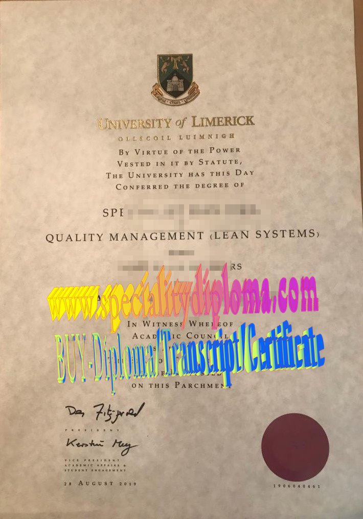 Fake The University of Limerick Diploma Certificate