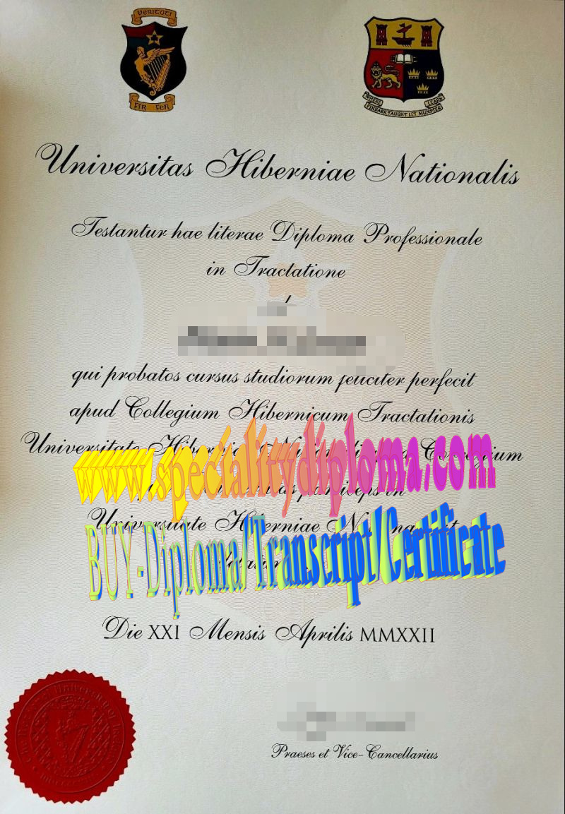 Fake University College of Cork Diploma Certificate