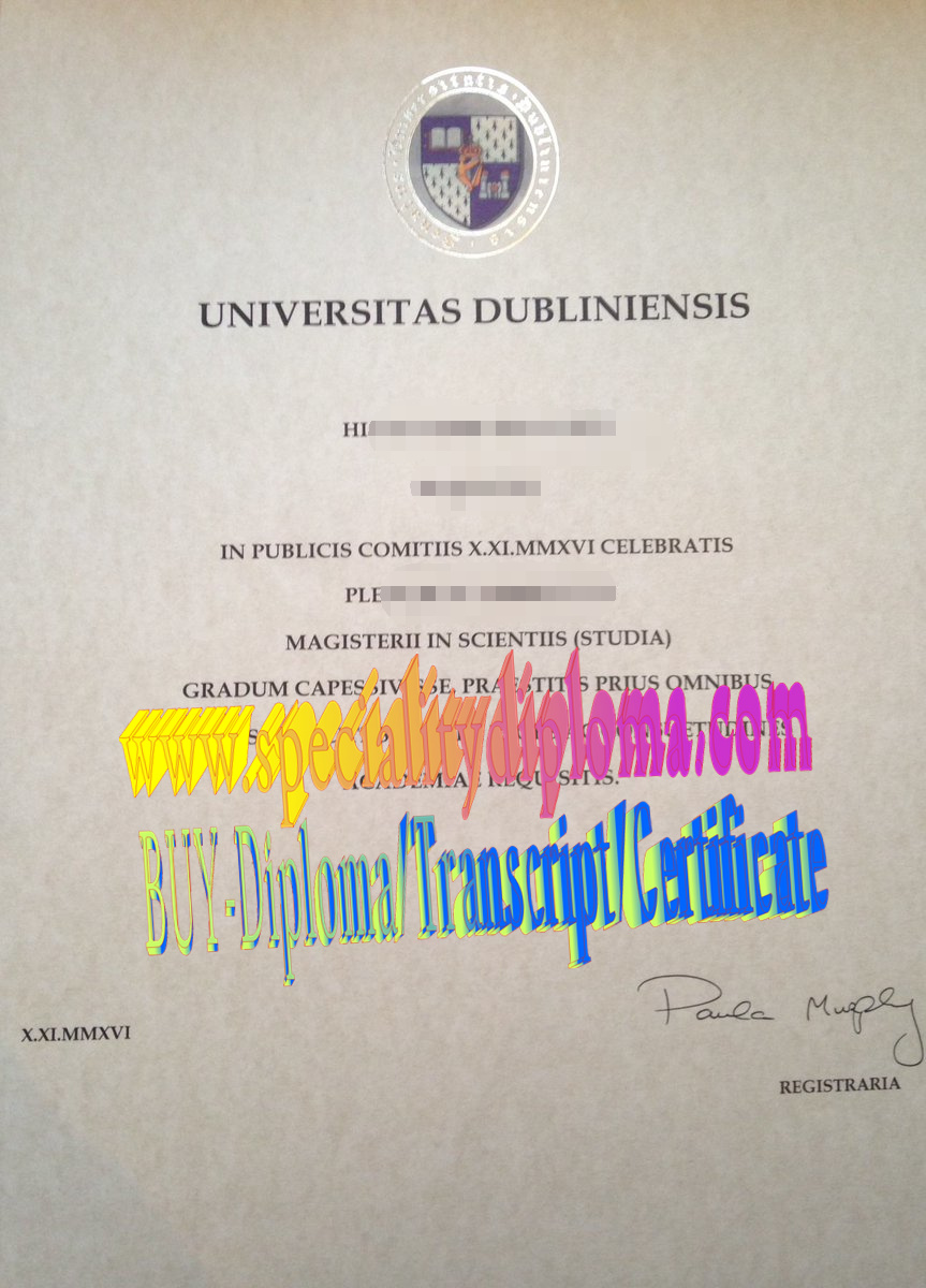 Fake University of Dublin Diploma Certificate