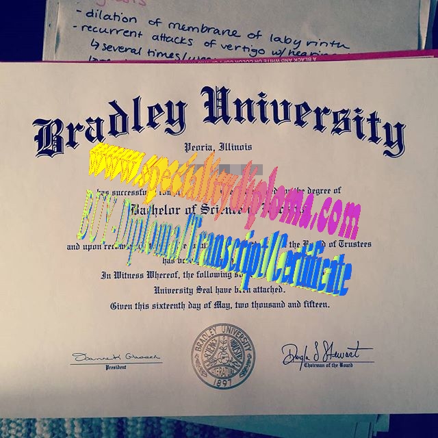 Fake bradley University Diploma Certificate