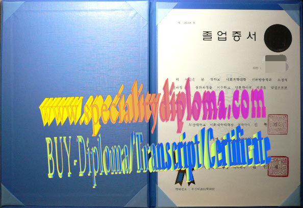 How Buy Pusan National University Diploma Online