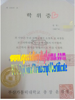 How Buy The Catholic University of Busan Diploma Online