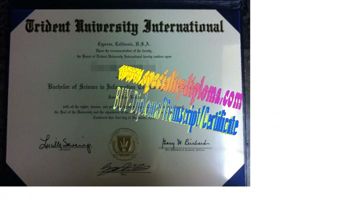 Make fake Trident University International Diploma