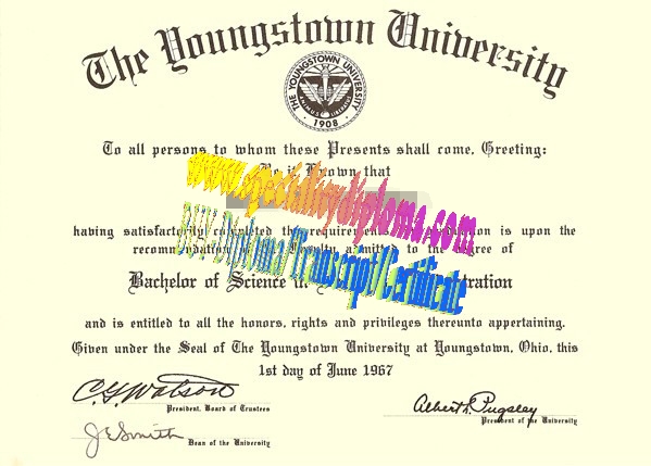 Make fake Youngstown State University Diploma